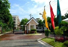 Palm Grove - Featured Image